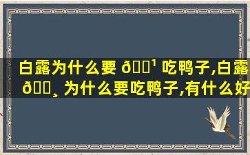 白露为什么要 🌹 吃鸭子,白露 🌸 为什么要吃鸭子,有什么好处